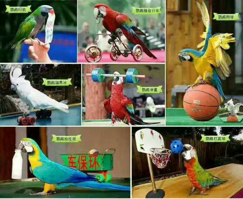 設備租賃圖片/設備租賃樣板圖 (2)