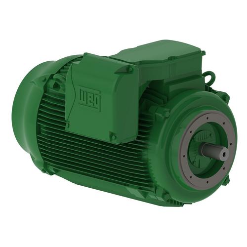 W22系列 WEG 鋁殼電機(jī) 進(jìn)口 現(xiàn)貨 110KW 315KW