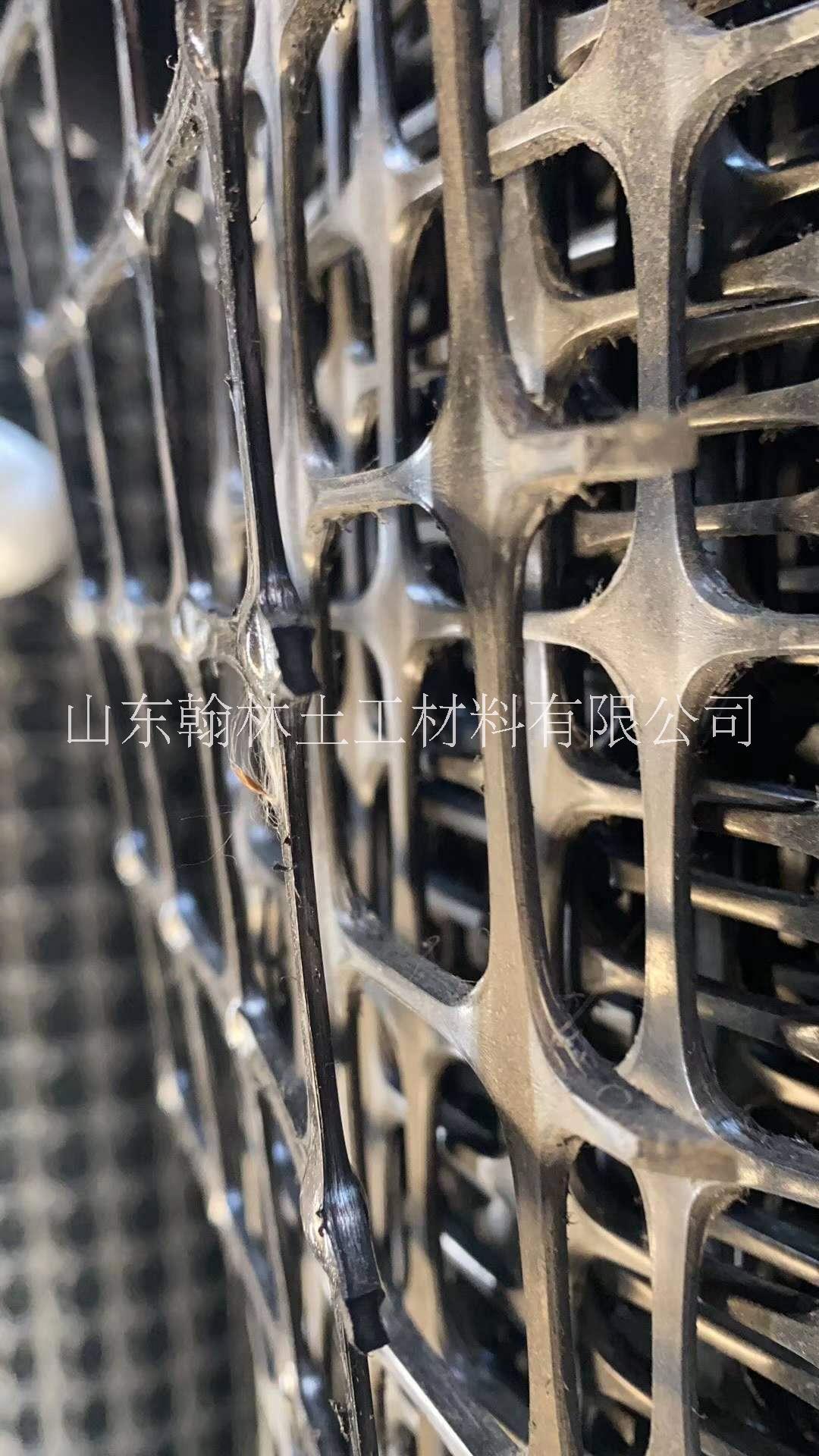 塑料土工格柵圖片/塑料土工格柵樣板圖 (4)