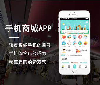 西安APP開發(fā)方案圖片/西安APP開發(fā)方案樣板圖 (2)