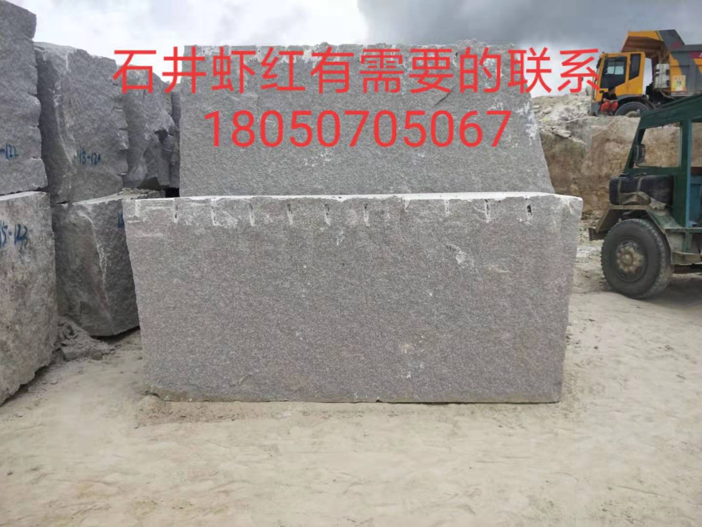 蝦紅圖片/蝦紅樣板圖 (3)