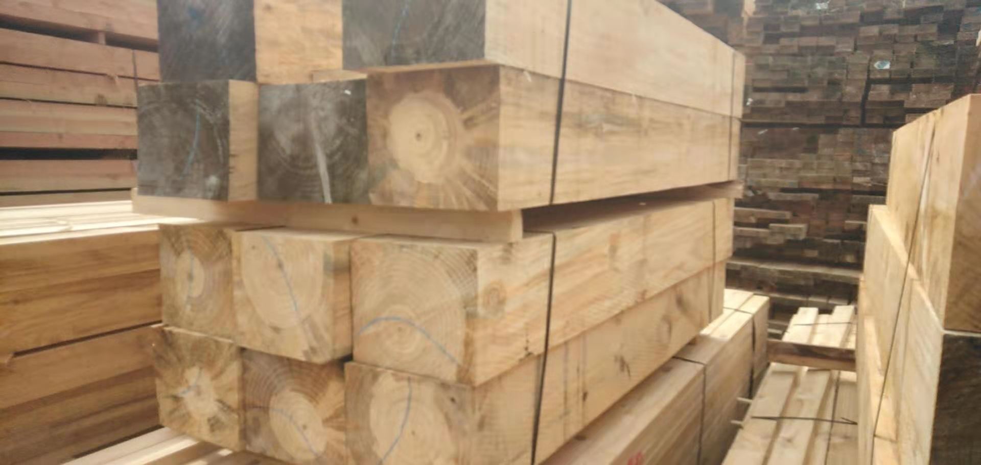 新西蘭松加工定制圖片/新西蘭松加工定制樣板圖 (2)