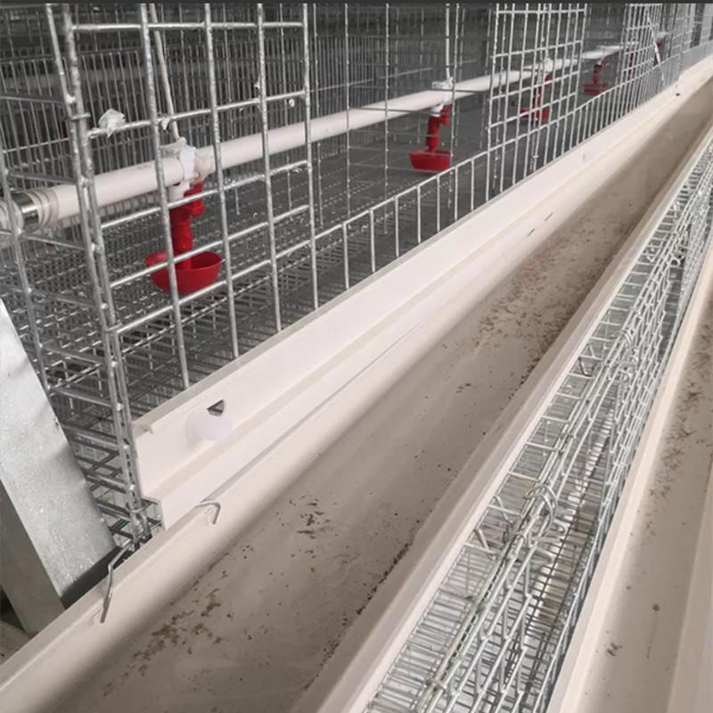 雞籠圖片/雞籠樣板圖 (3)