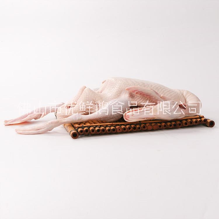 廣東白條鴨批發(fā)圖片/廣東白條鴨批發(fā)樣板圖 (3)
