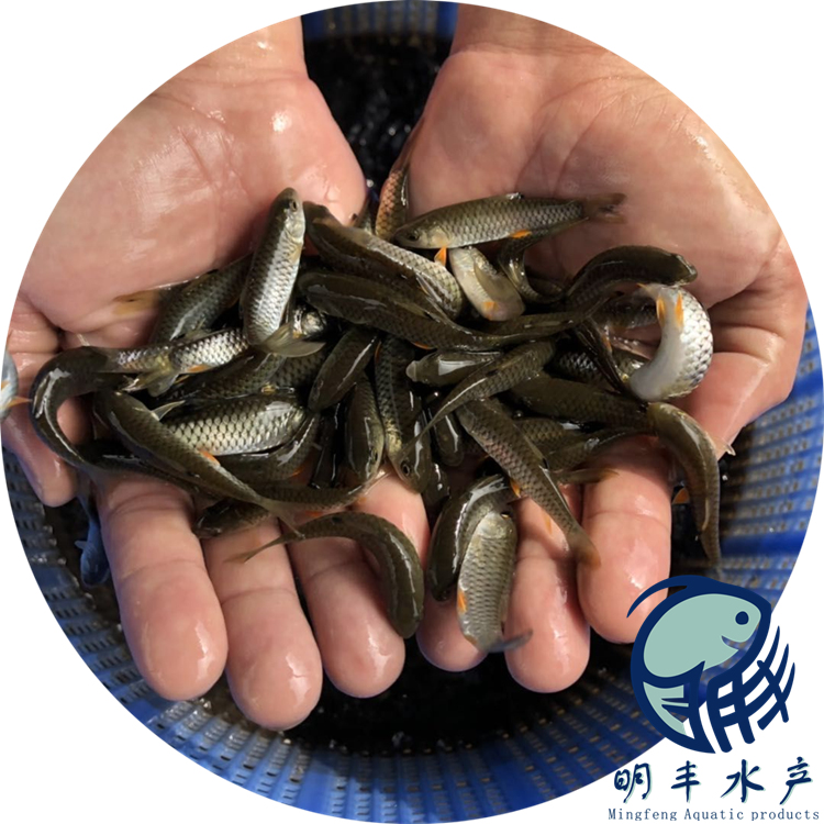 地區(qū)發(fā)貨圖片/地區(qū)發(fā)貨樣板圖 (4)