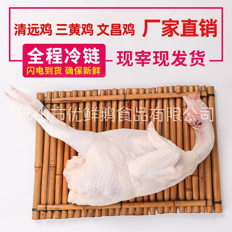 麻黃圖片/麻黃樣板圖 (3)