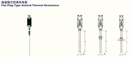 滁州市扁接插式铠装热电阻厂家