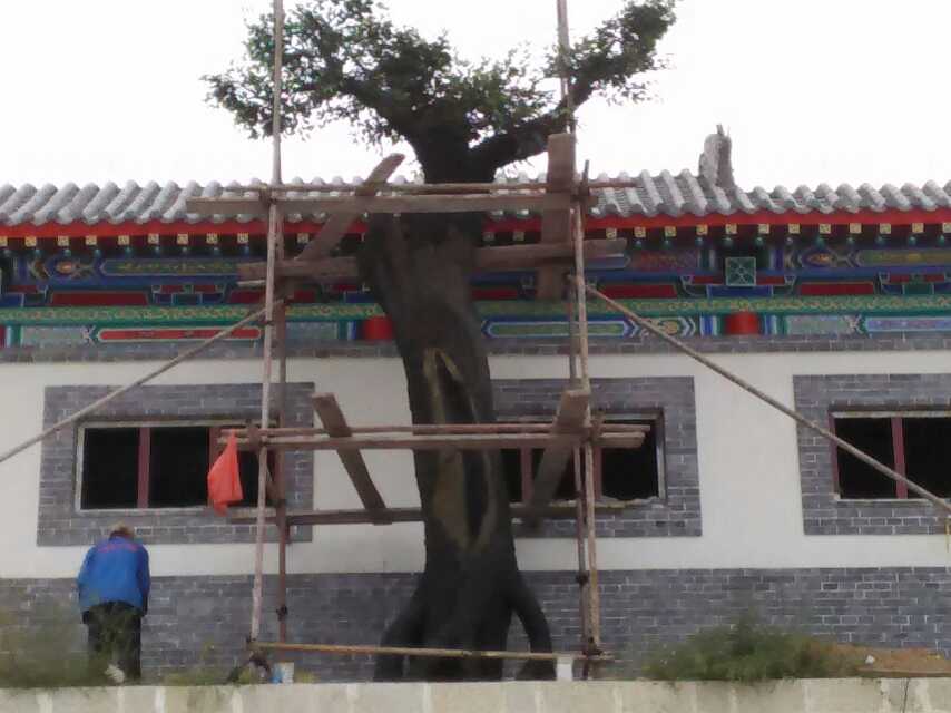 山東仿真樹圖片/山東仿真樹樣板圖 (4)