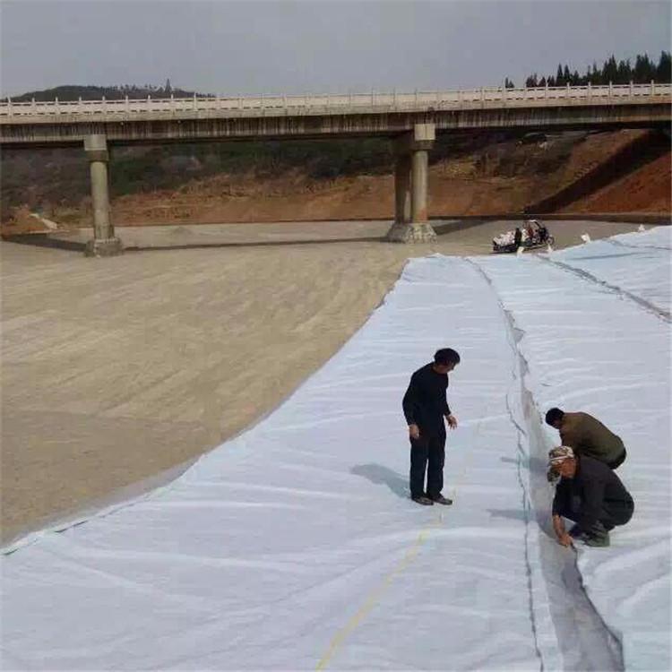 防水毯6000克钠基膨润土垫, 防水毯厂家