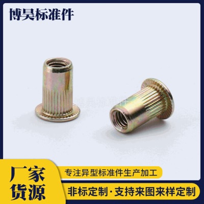 拉鉚螺母圖片/拉鉚螺母樣板圖 (4)