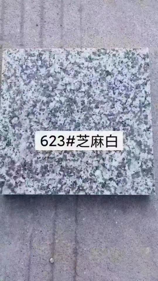 福建芝麻白圖片/福建芝麻白樣板圖 (3)