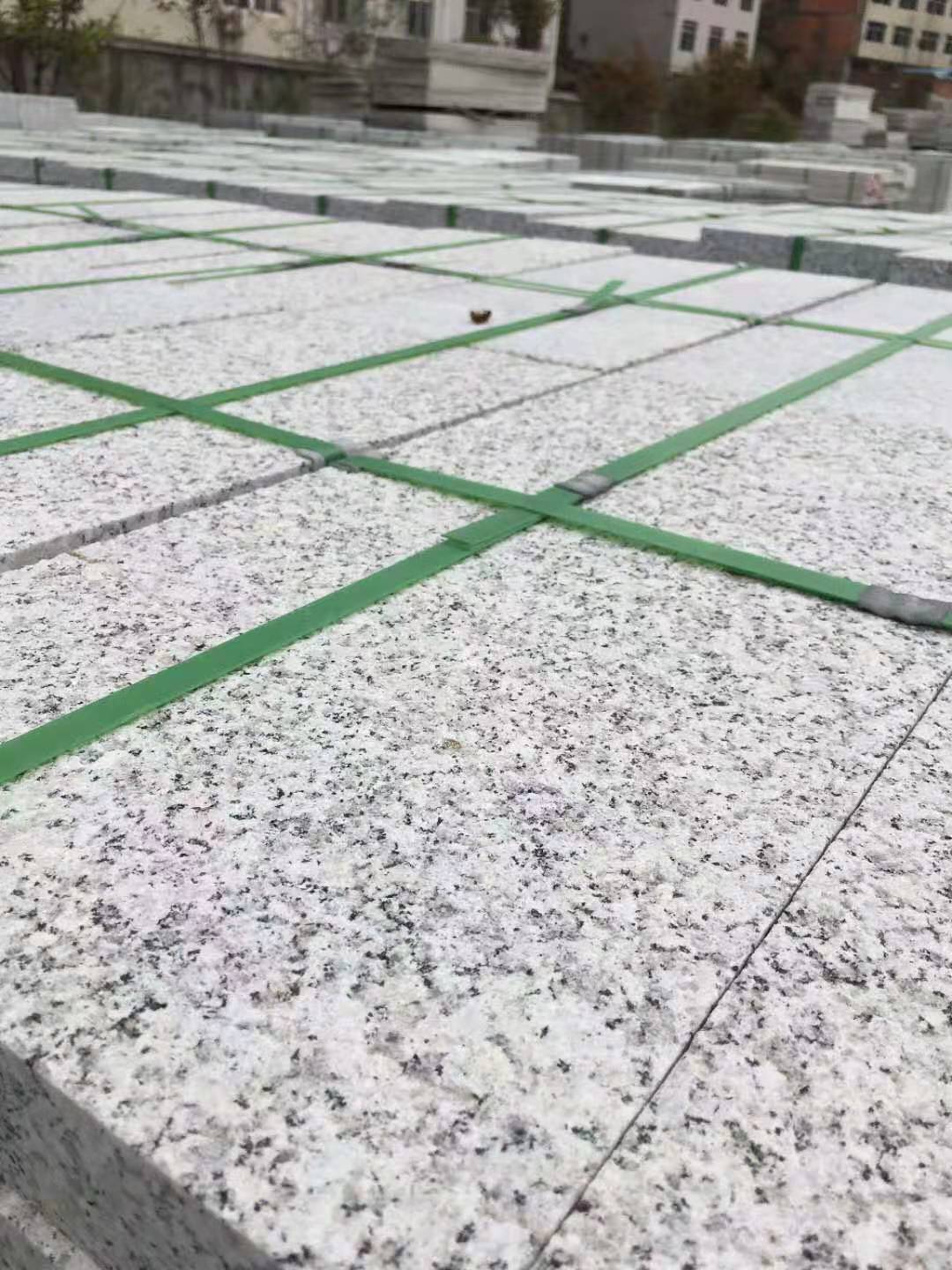 芝麻白圖片/芝麻白樣板圖 (1)