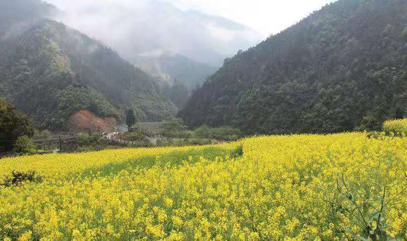 长沙周边游烧烤，垂钓，农家乐