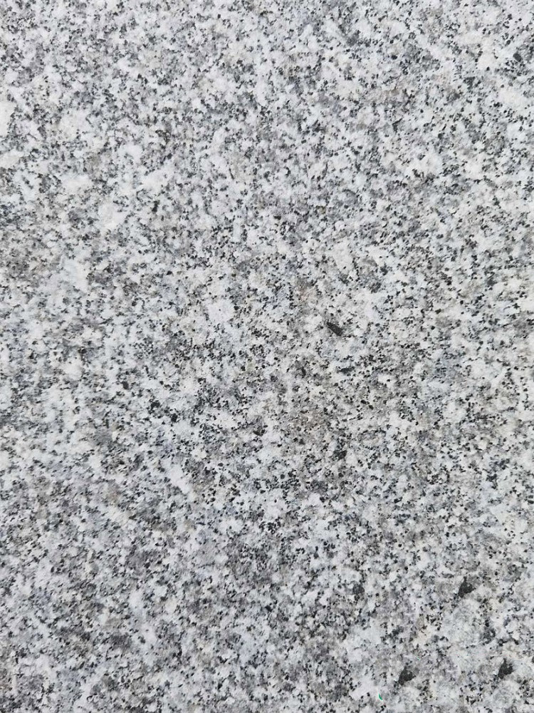 芝麻灰圖片/芝麻灰樣板圖 (2)