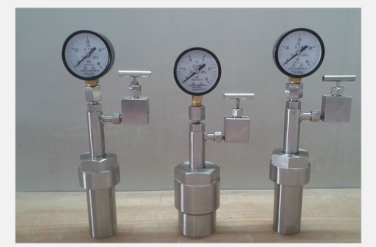 水熱合成反應釜圖片/水熱合成反應釜樣板圖 (2)