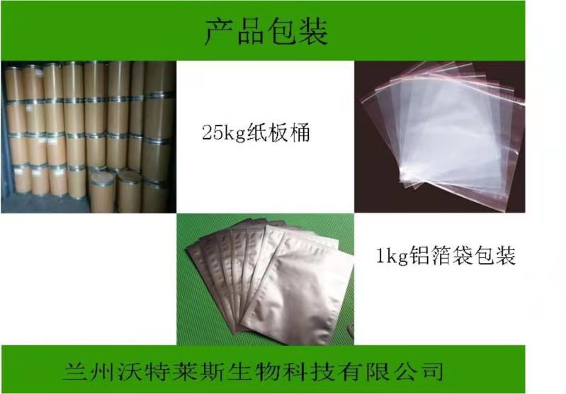 黃芪提取物圖片/黃芪提取物樣板圖 (1)