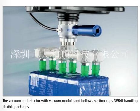 SCHMALZ 吸盤 SPB2F圖片/SCHMALZ 吸盤 SPB2F樣板圖 (4)