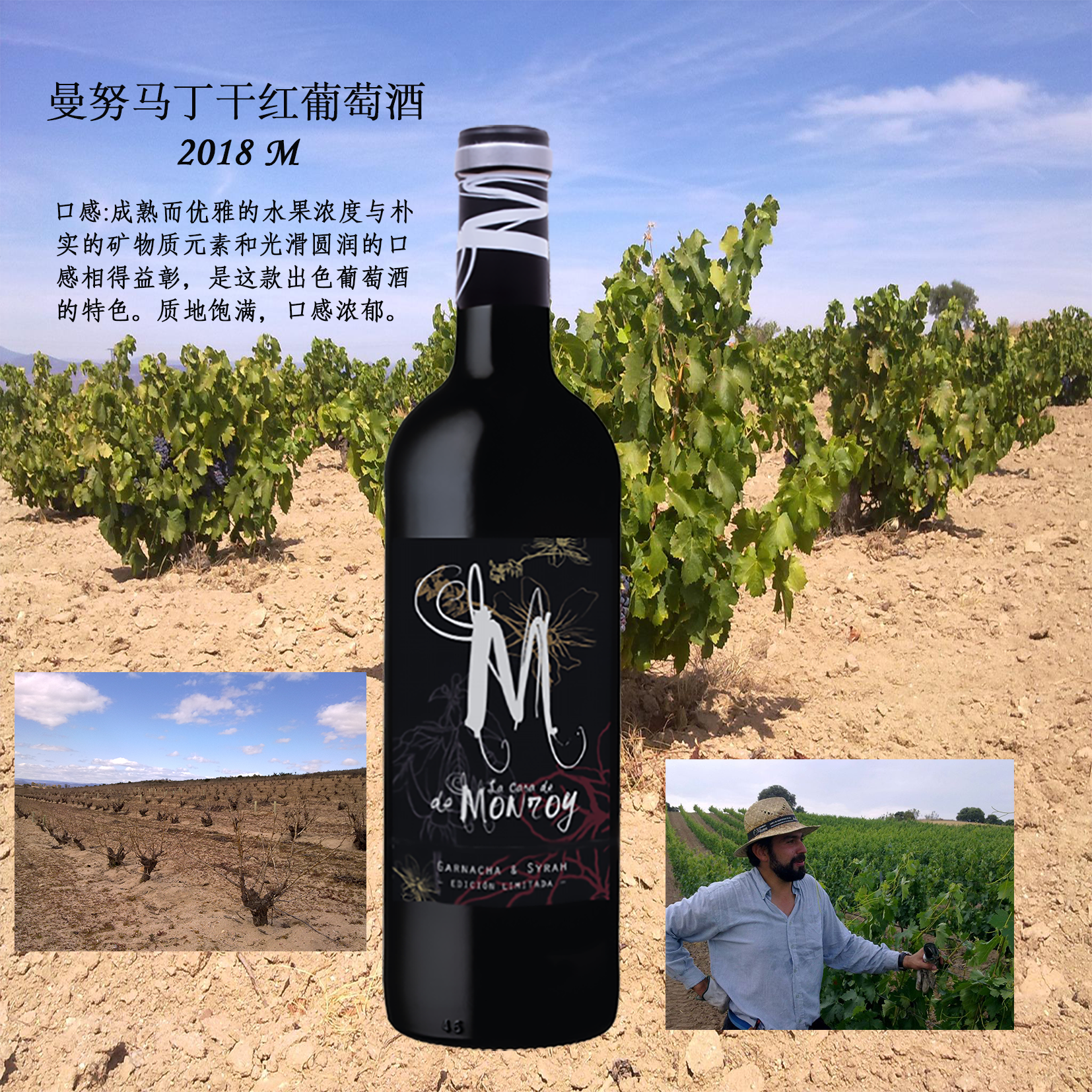 經(jīng)典款  西班牙原瓶*葡萄酒  M干紅葡萄酒