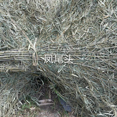 環(huán)衛(wèi)掃把圖片/環(huán)衛(wèi)掃把樣板圖 (1)