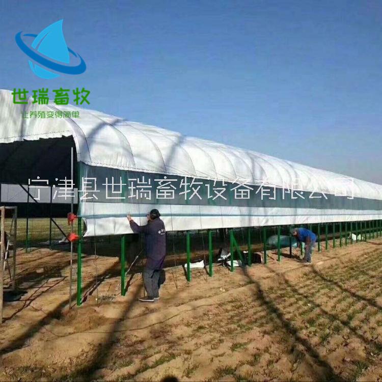 養(yǎng)羊大棚價格圖片
