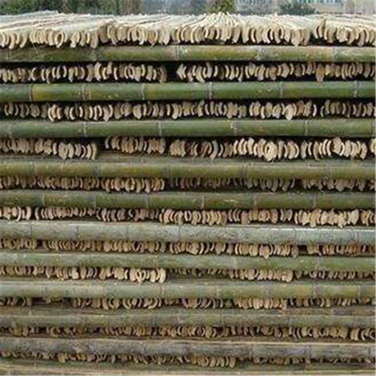 竹架圖片/竹架樣板圖 (1)