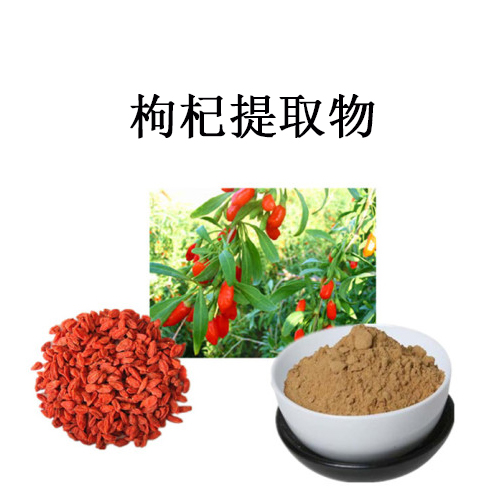 枸杞提取物圖片