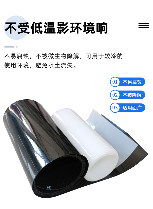 聚乙烯土工膜圖片/聚乙烯土工膜樣板圖 (4)