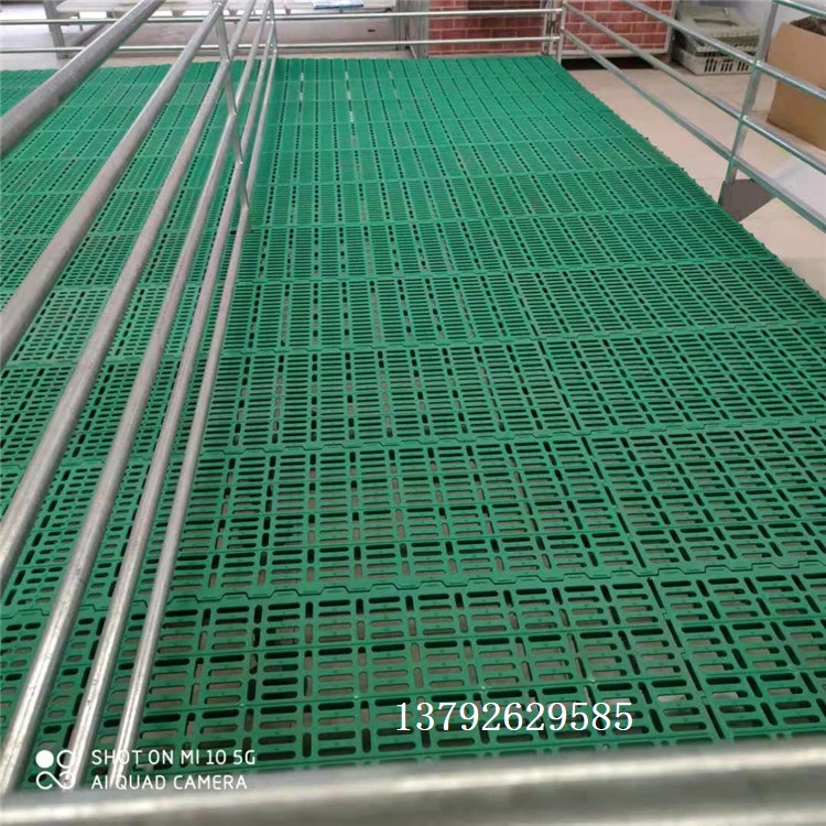 羊用漏糞板圖片/羊用漏糞板樣板圖 (1)
