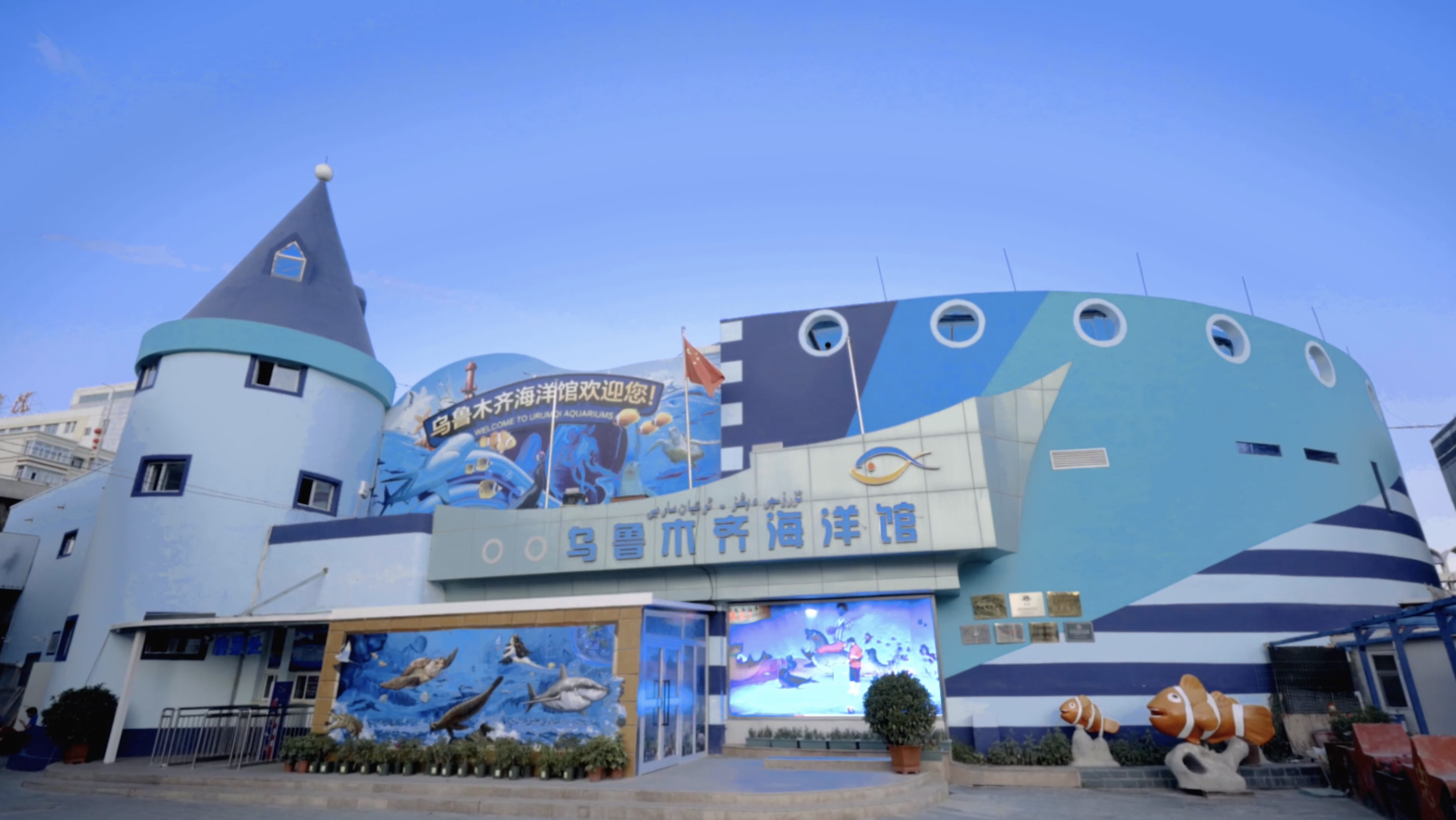 展覽館海洋館宣傳片-烏魯木齊海洋圖片