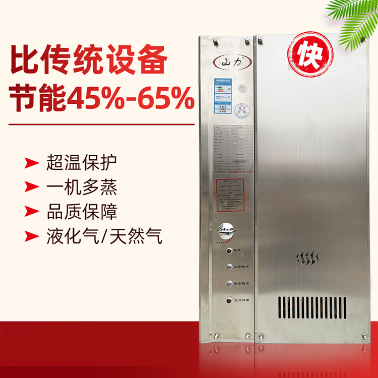 天然氣液化氣蒸汽發(fā)生器掛立鍋爐圖片
