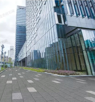 芝麻黑圖片/芝麻黑樣板圖 (2)