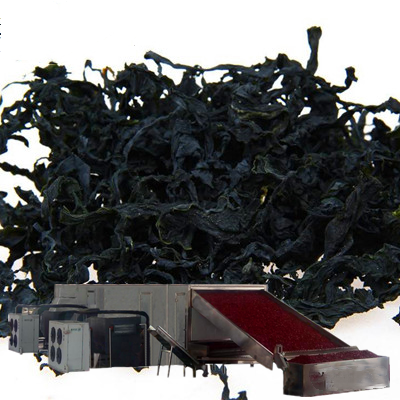 紫菜烘干機哪家好 紫菜烘干機報價