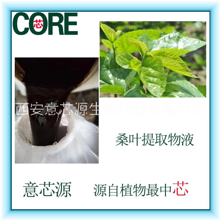 桑葉圖片/桑葉樣板圖 (2)