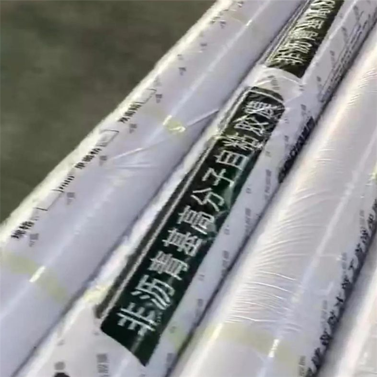 片材擠出機(jī)圖片/片材擠出機(jī)樣板圖 (3)