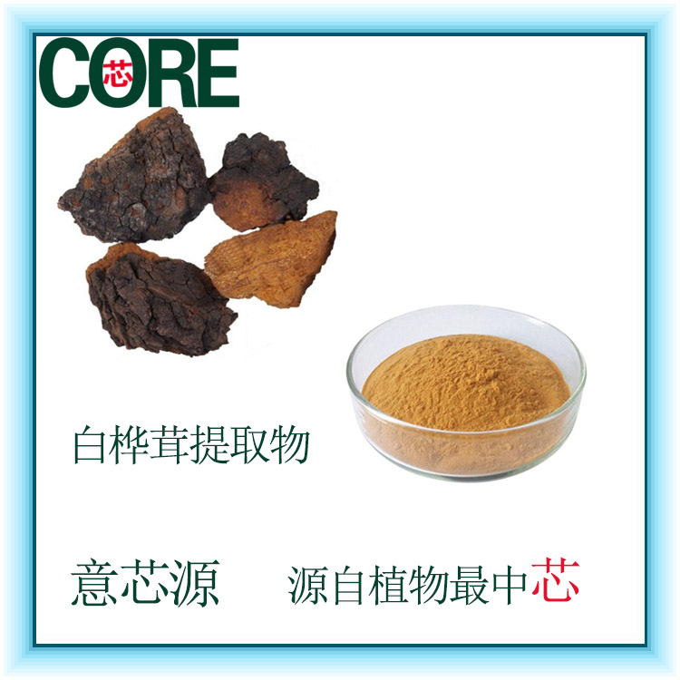 白樺茸/提取物粉/10：1/提取物液/浸膏/多糖現(xiàn)貨直銷10%30%50%20%