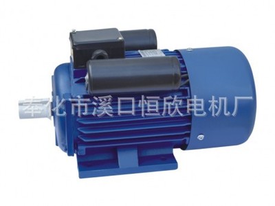 單相220V雙值電容異步電機 微電機 雙值電容異步電機單價