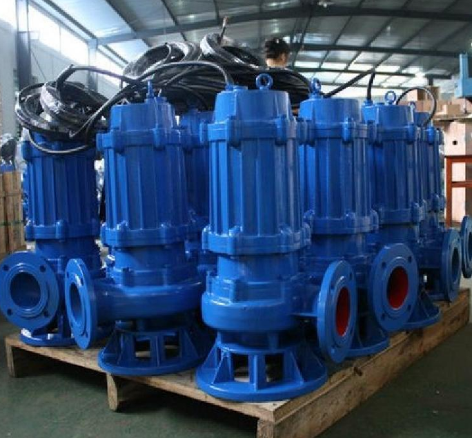 污水泵圖片/污水泵樣板圖 (2)