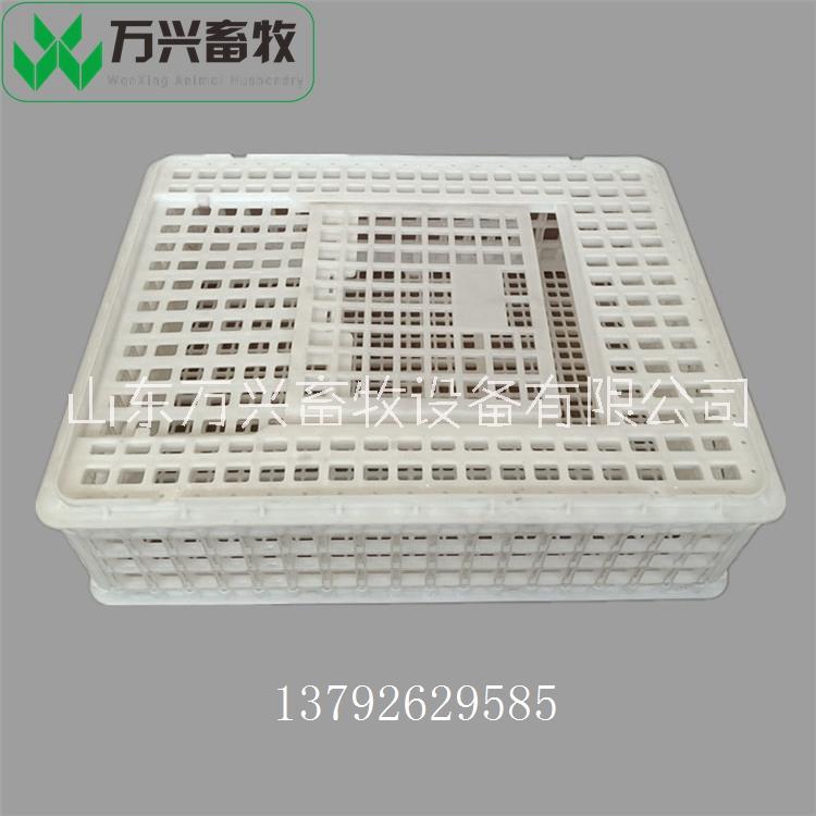 蛋雞轉(zhuǎn)運(yùn)籠 塑料雞轉(zhuǎn)運(yùn)籠 大雞籠