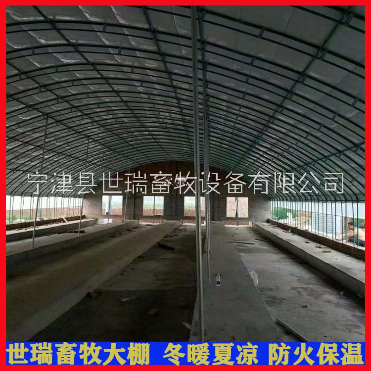 養(yǎng)兔大棚搭建圖片/養(yǎng)兔大棚搭建樣板圖 (4)