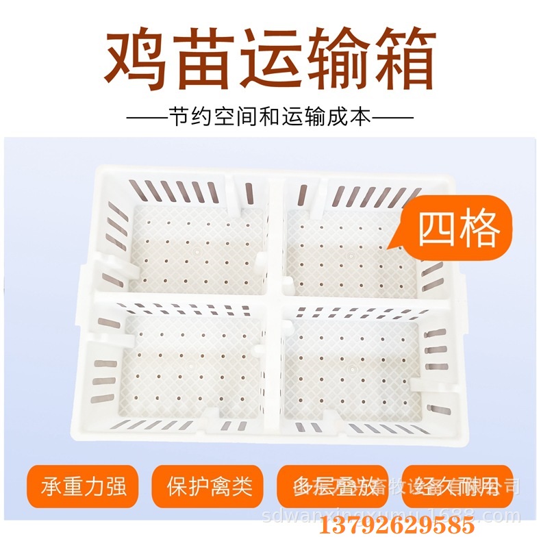 鸡苗筐 雏鸡塑料周转筐 雏鸡箱价格图片