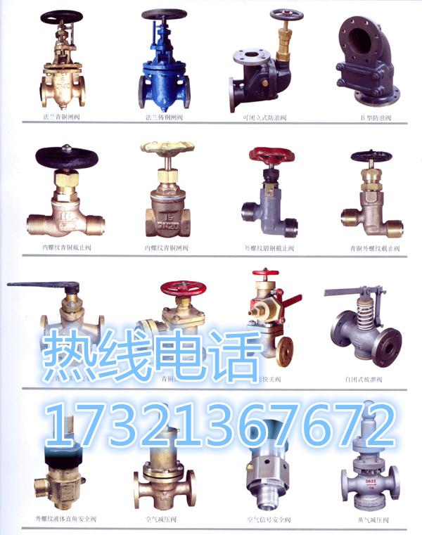 CB301-1977胶管接头青铜和黄铜截止止回阀1普陀区