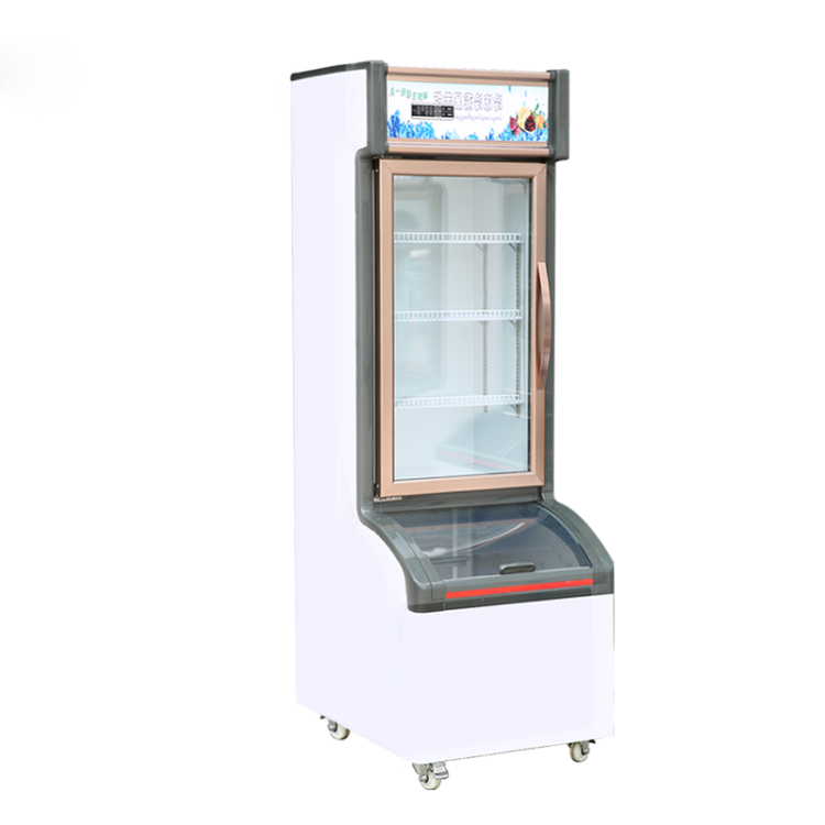 廠家供應(yīng)冷藏冷凍展示柜便利店字母柜冰箱雪糕柜商用超市立式冰柜小型兩用
