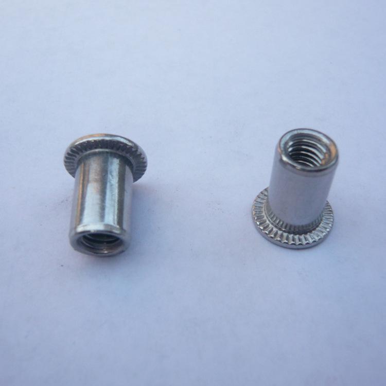 平頭鉚螺母圖片/平頭鉚螺母樣板圖 (4)