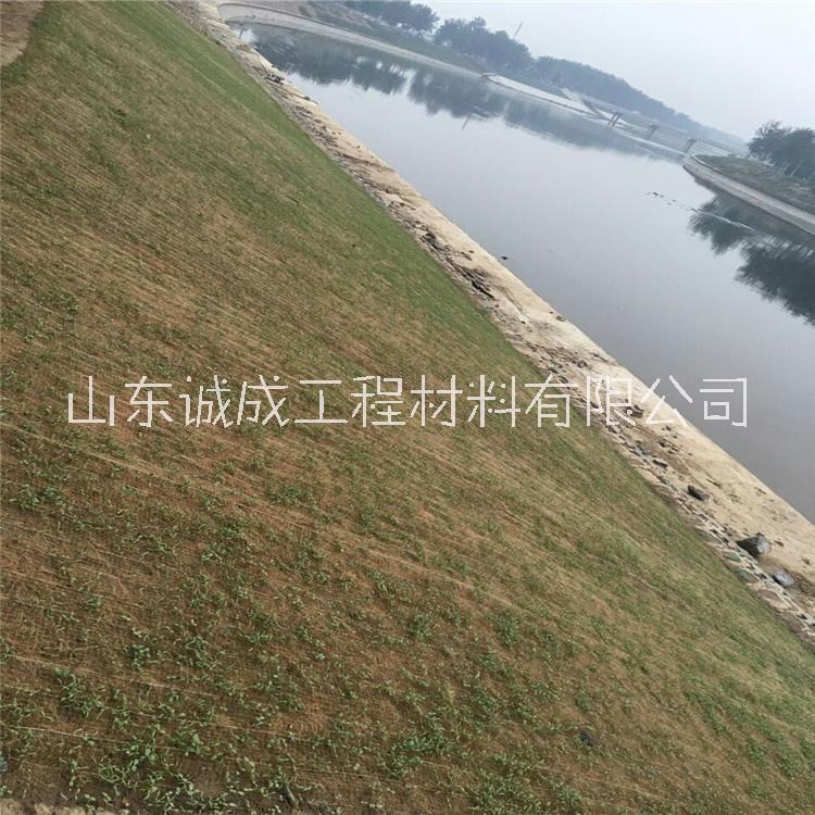 草毯圖片/草毯樣板圖 (3)