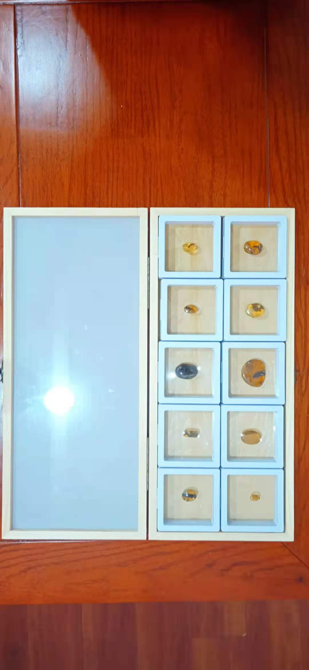 天然琥珀昆蟲標本圖片/天然琥珀昆蟲標本樣板圖 (2)