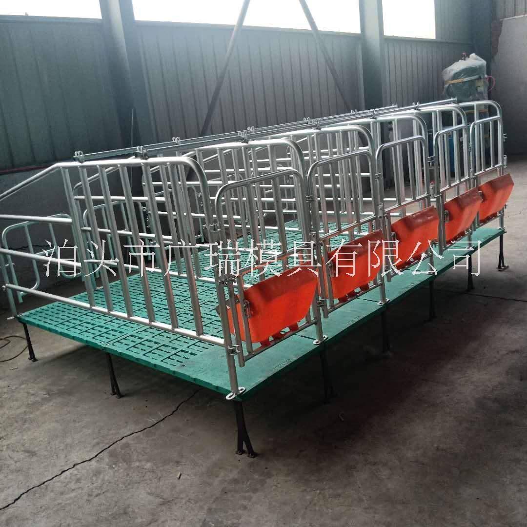 母豬定位欄圖片/母豬定位欄樣板圖 (4)