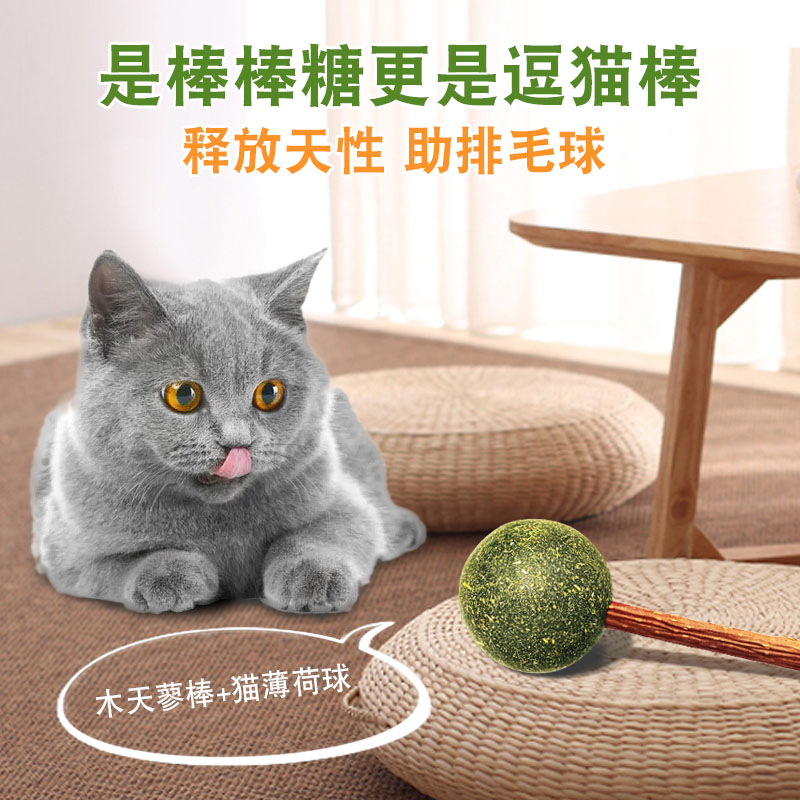 貓薄荷圖片/貓薄荷樣板圖 (1)