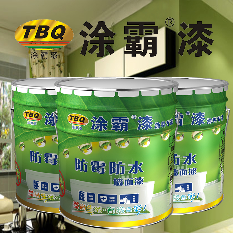 防霉防水涂料圖片/防霉防水涂料樣板圖 (2)