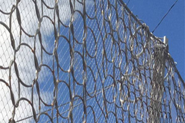 RXI-150型被動(dòng)防護(hù)網(wǎng)圖片/RXI-150型被動(dòng)防護(hù)網(wǎng)樣板圖 (3)