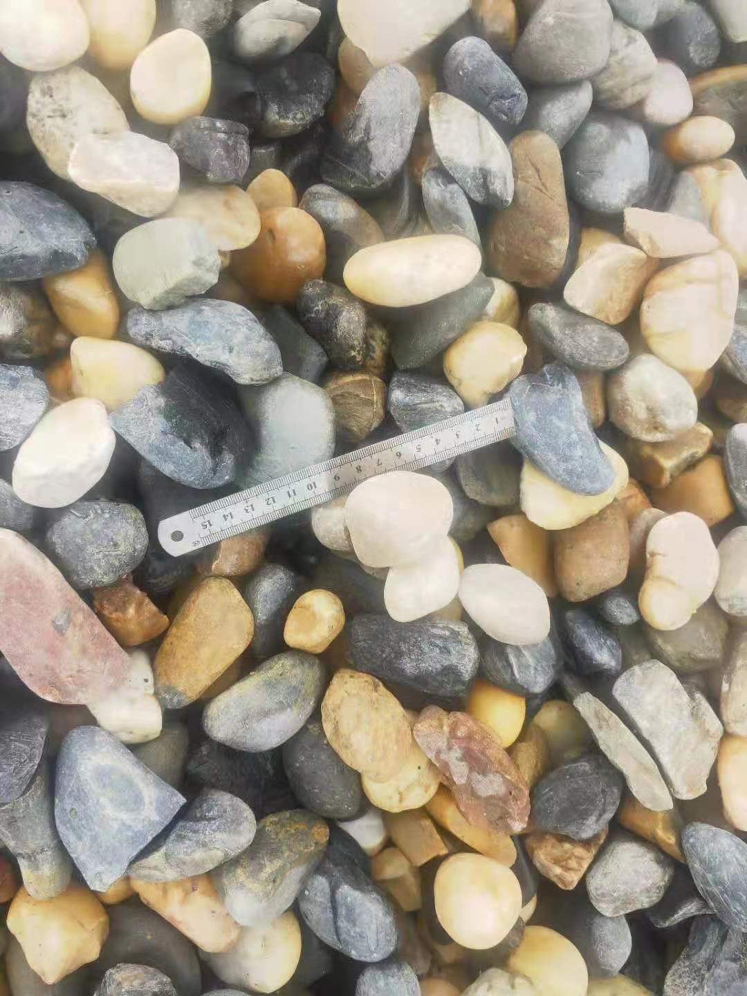 白鵝卵石圖片/白鵝卵石樣板圖 (3)